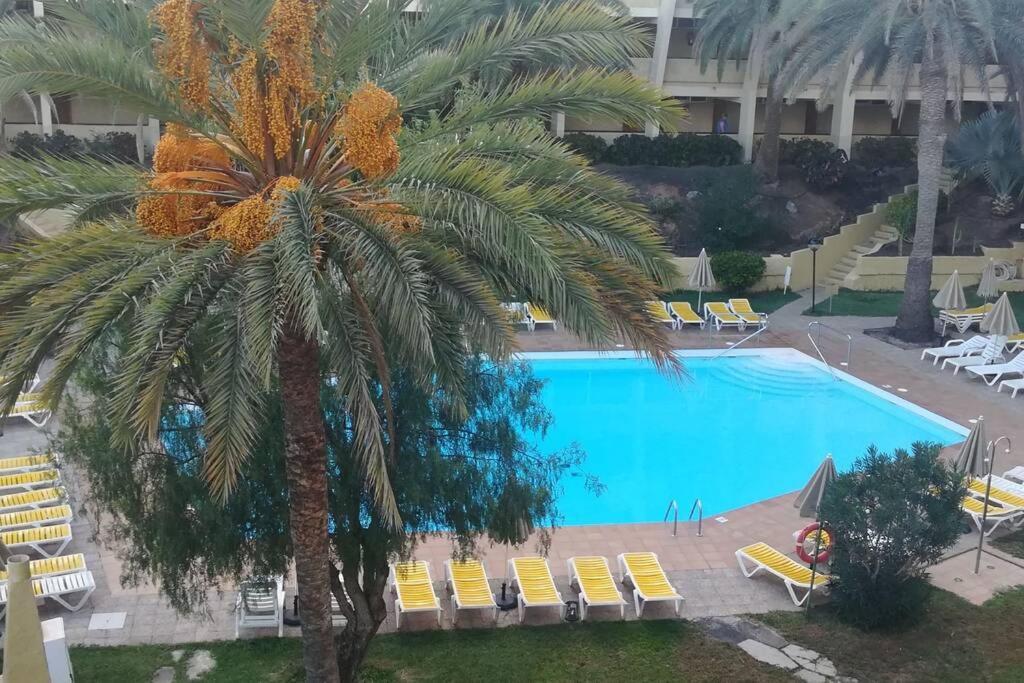 Maspalomas Sandy Beach Apartment Playa del Inglés Exteriör bild